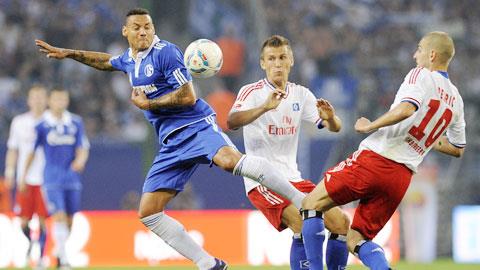 22h30 ngày 11/8, Schalke vs Hamburg: Sức mạnh Hoàng đế