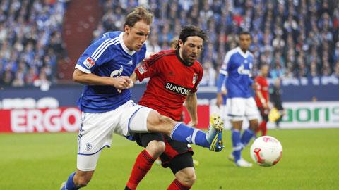 23h30 ngày 31/8, Schalke vs Leverkusen: Khi Hoàng đế lâm bệnh