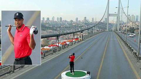 Tiger Woods đánh golf xuyên lục địa