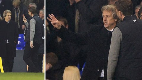 Tim Sherwood bị chọc tức trong trận thua của Tottenham