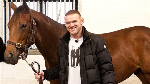 Rooney thay ngựa, đổi vận