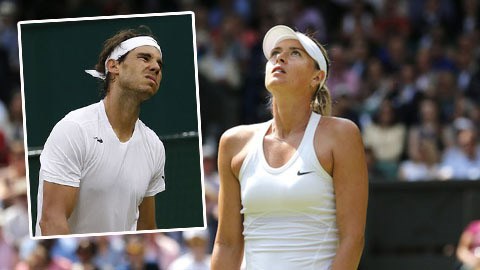Wimbledon vòng 4: Nadal và Sharapova dừng cuộc chơi