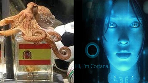 Dự đoán đúng 14 trận World Cup, “thánh” Cortana nổi như cồn