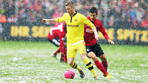 21h30 ngày 7/2, Freiburg vs Dortmund: Sa lầy ở đáy