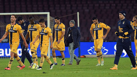 CLB Parma sắp bị khai tử: Đá bóng trong cơn hấp hối