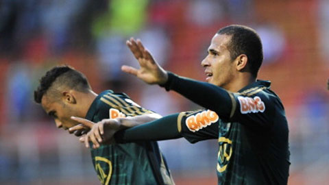 08h00 ngày 28/5: Palmeiras  vs ASA