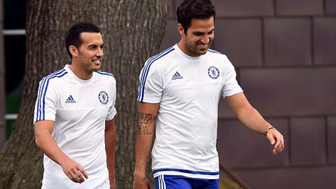 Chelsea xác nhận đã mua được Pedro
