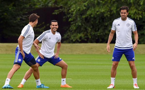 Pedro được kỳ vọng sẽ mang lại sự tươi mới cho lối chơi của Chelsea