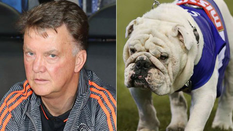 Tin giờ chót 11/9: Cầu thủ M.U so sánh Van Gaal với... chó Bull