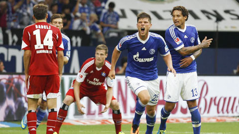 Nhận định Hamburg vs Schalke, 23h30 ngày 26/9