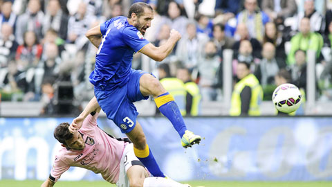 02h45 ngày 30/11, Palermo vs Juventus: Không mắc thêm sai lầm