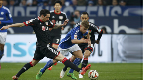 23h30 ngày 29/11, Leverkusen vs Schalke: Bắt nạt Hoàng đế