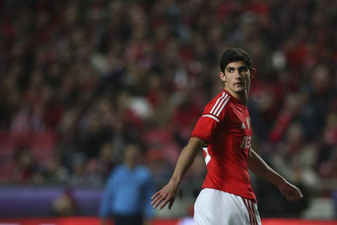 Goncalo Guedes