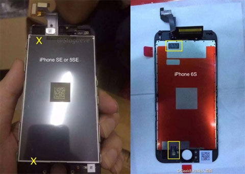 Hình ảnh mới nhất của tấm nền màn hình iPhone SE (trái) bên cạnh iPhone 6s cho thấy Apple sẽ không trang bị 3D Touch cho mẫu iPhone màn hình 4-inch mới này