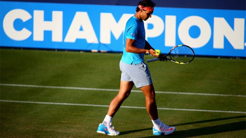 Nadal bỏ Aegon Championships trước thềm Wimbledon