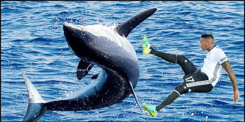 Boateng có thể đá bay con cá voi khổng lồ