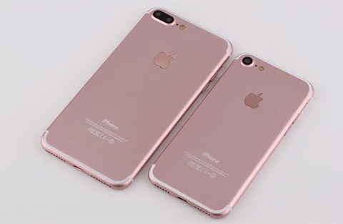 Apple chỉ ra mắt 2 phiên bản iPhone vào tháng 9 tới đây