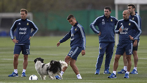 Không Messi, ĐT Argentina tập luyện với… chú cún