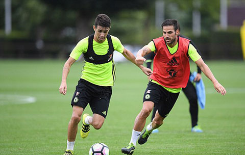 Fabregas và Oscar là những ngôi sao không được lên tuyển lần này