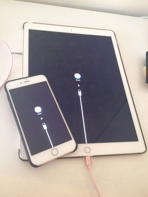Không chỉ iPhone, cả iPad cũng bị dính lỗi treo cứng trong quá trình nâng cấp lên iOS 10