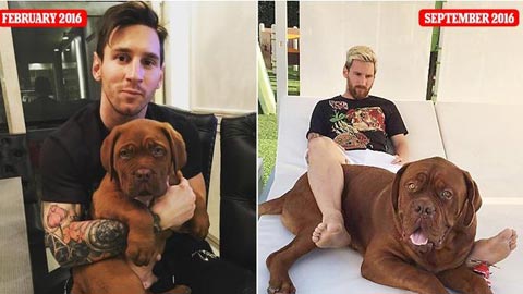 Messi khoe nuôi chó lớn nhanh như thổi