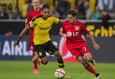 Dortmund (trái) sẽ có chuyến làm khách lành ít dữ nhiều trên sân Leverkusen