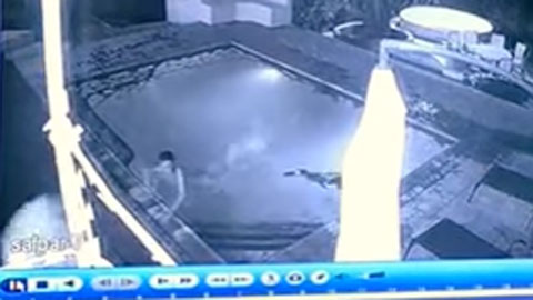 Cá sấu tấn công người đẹp dưới bể bơi