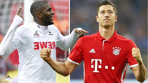 Cologne vs Bayern: Chờ đợi màn tỷ thí Modeste - Lewandowski