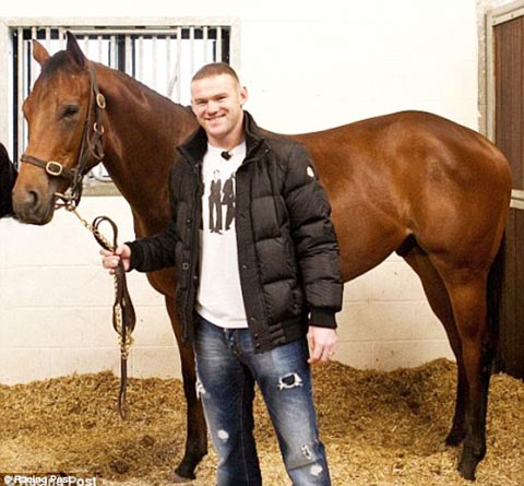 Wayne Rooney đầu tư mạnh tay cho thú đua ngựa nhưng không ăn thua