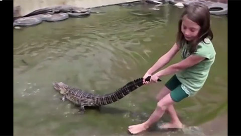 Bé gái một mình chiến đấu với cá sấu