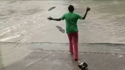 Người phụ nữ đuổi cá sấu bằng dép tông