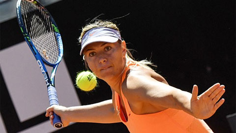 Sharapova từ chối dự Wimbledon bằng vé đặc cách