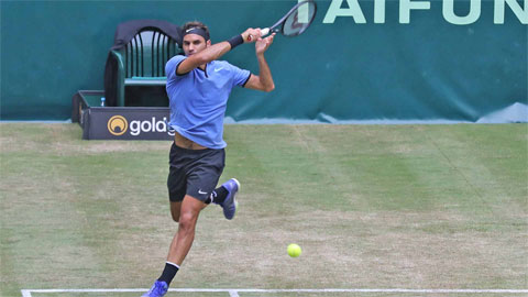 Federer vào tứ kết ở Halle lần thứ 15