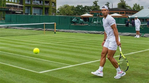 Nadal, Murray ra sân tập luyện ở Wimbledon