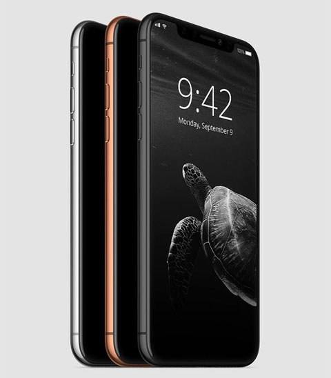 iPhone X xuất hiện với ba màu là đen, vàng đồng và bạc. Cả ba đều có mặt trước màu đen hoàn toàn để tạo sự liền lạc với màn hình.