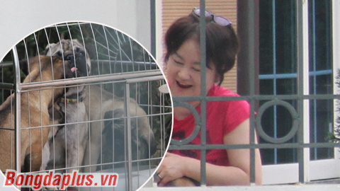 Người nhà thầy Park thích thú với cún yêu của HLV Hoàng Anh Tuấn