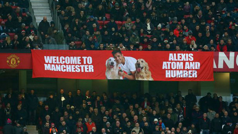 Banner Sanchez và chó cưng bị dỡ khỏi Old Trafford