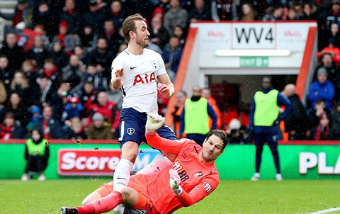 Kane dính chấn thương ở trận gặp Bournemouth