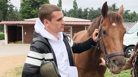 Ngựa đua của Griezmann thắng lớn tại quê nhà