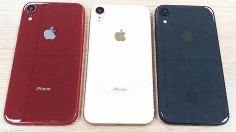 iPhone LCD 6.1-inch lộ 4 màu mới đẹp mắt