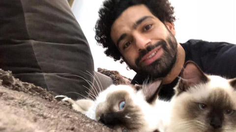 Salah phản đối 'ngành' thịt chó, thịt mèo