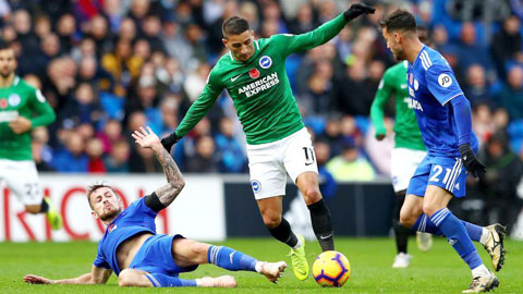 Nhận định bóng đá Brighton vs Cardiff, 01h45 ngày 17/04: Ai cũng có quà