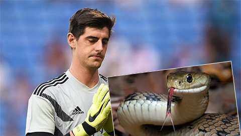 Chào đón Hazard, Courtois bị fan Chelsea gọi là 'rắn độc'