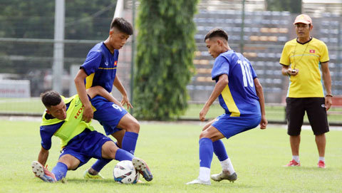 Giải U15 Đông Nam Á 2019: Việt Nam ra quân gặp Indonesia