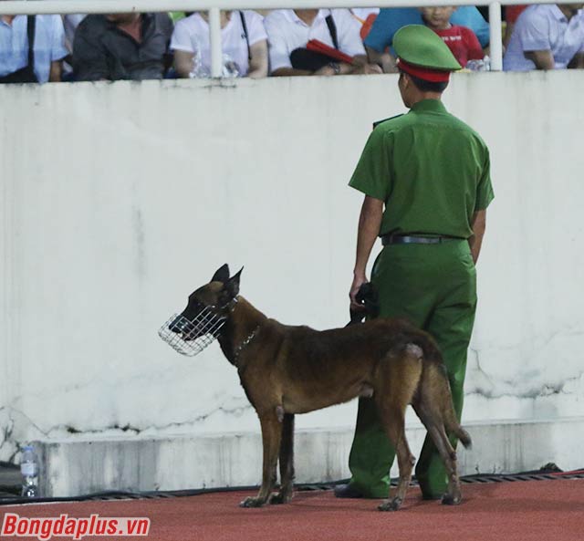 Sự xuất hiện của chó nghiệp vụ cùng việc rà soát nghiêm túc, kỹ càng qua nhiều lớp từ lực lượng an ninh mang đến một sự an toàn cho khán giả đến xem trận đấu giữa Việt Nam và Malaysia 