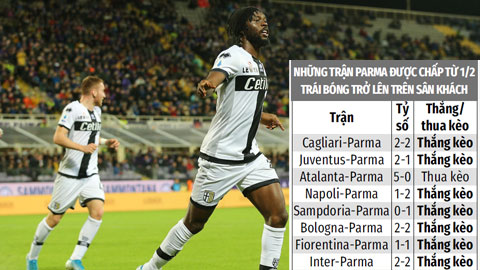 Soi kèo 16/2: Tin vào Parma và Newcastle 