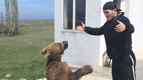 Nurmagomedov từng tập luyện với gấu trước khi đánh bại McGregor vào năm 2018