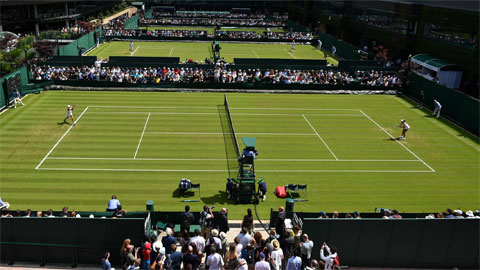 Wimbledon thu lợi 'khủng' dù bị hủy