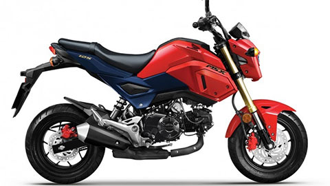 Honda MSX 125 2020 ra mắt với nhiều màu sắc trẻ trung, giá hấp dẫn