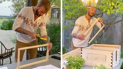 David Beckham tự đóng thùng nuôi ong lấy mật